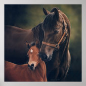 Morgan Mare en Foal van Lynn Peterson Poster (Voorkant)