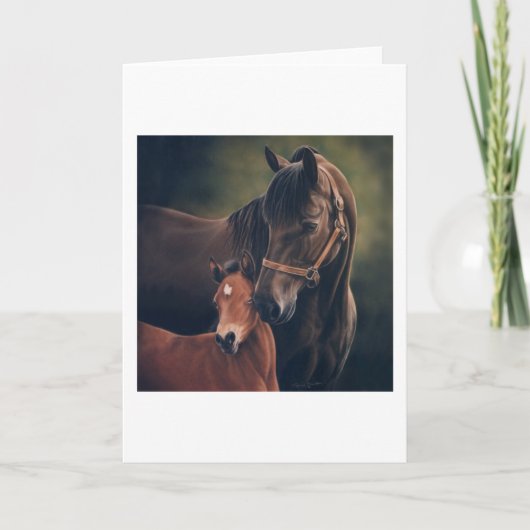 Morgan Mare en Veulen Kaart (Voorkant)