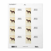 Morgan paard in profiel etiket (Full Sheet)