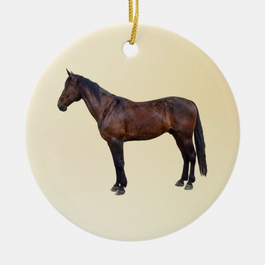 Morgan paard in profiel keramisch ornament (Voorkant)