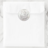 MORGAN SILVER DOLLAR RONDE STICKER (Tas)