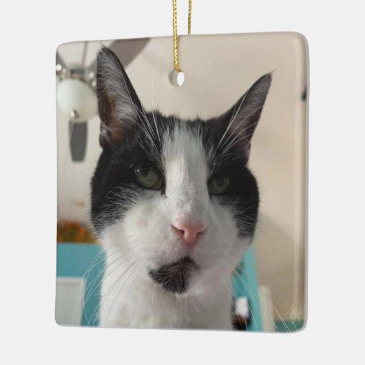 Morgan's Ornament (Links)