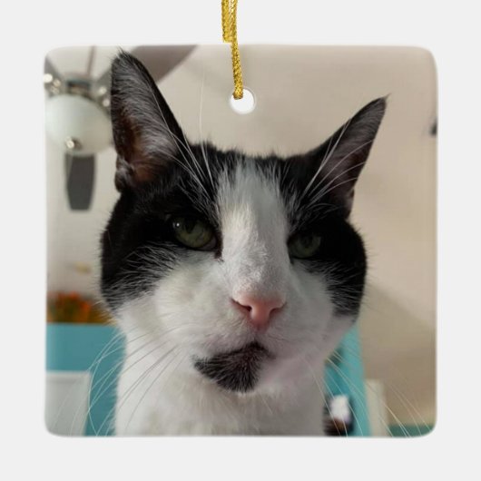 Morgan's Ornament (Voorkant)