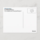 Morgantown WV Skyline Word Knipsel Briefkaarten (Achterkant)