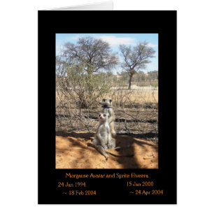 Morgause en Sprite — Legendenkaart