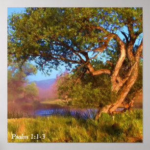 MORGEN OP DE SHASTA 2 POSTER