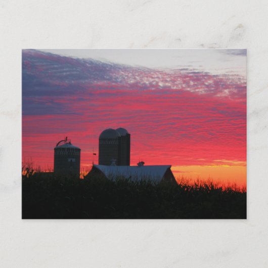morgen over het Briefkaart van het Boerderij (Voorkant)