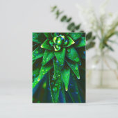 Morgendag in Plant Briefkaart (Staand voorkant)