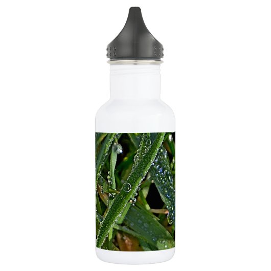 Morgendauw op het gras waterfles (Links)