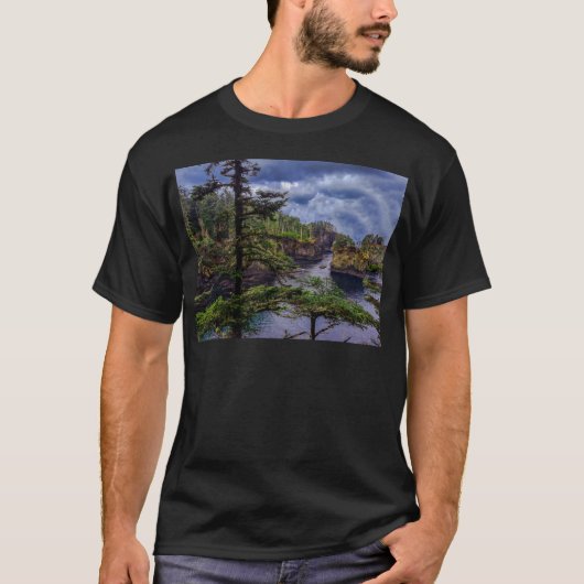 Morgenochtend zonsopgang olympisch schiereiland Ca T-shirt (Voorkant)