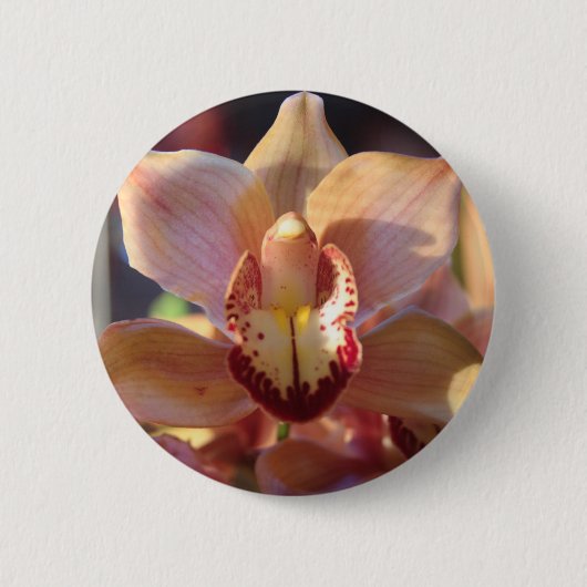 morgenorchidee ronde button 5,7 cm (Voorkant)