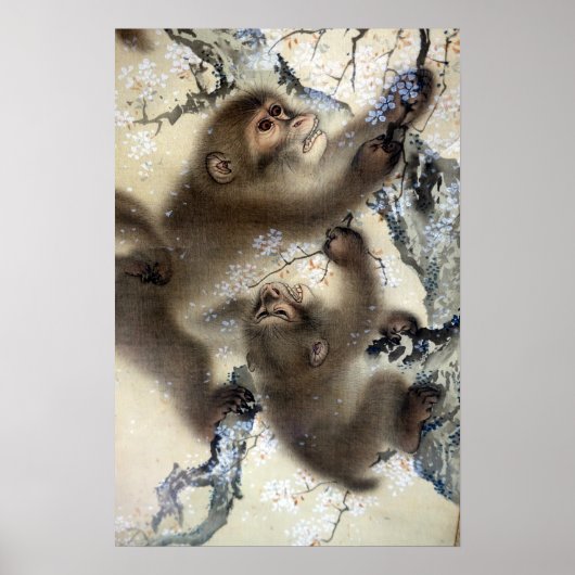 Mori Sosen-apen in een bloeiende Cherry-boom Poster (Voorkant)
