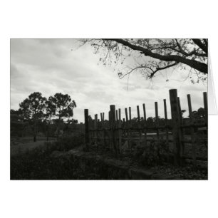 Morikami in zwart-wit