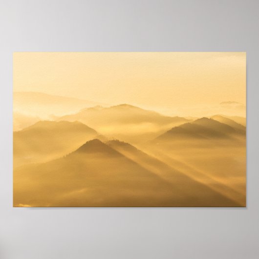 Moring mist zonopulatie poster (Voorkant)