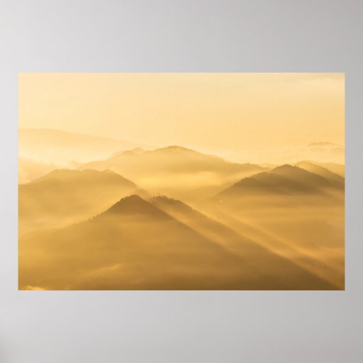 Moring mist zonopulatie poster (Voorkant)