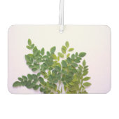 Moringa-bladeren met tekstruimte luchtverfrisser (Achterkant)