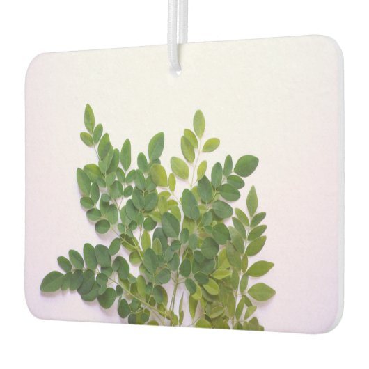 Moringa-bladeren met tekstruimte luchtverfrisser (Links)