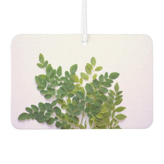Moringa-bladeren met tekstruimte luchtverfrisser (Voorkant)
