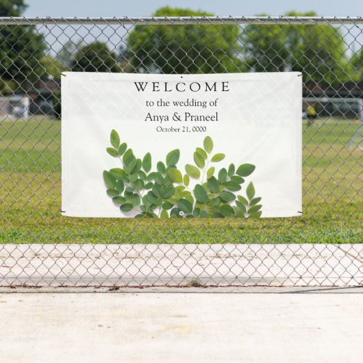 Moringa-bladeren met tekstruimte spandoek (Insitu)