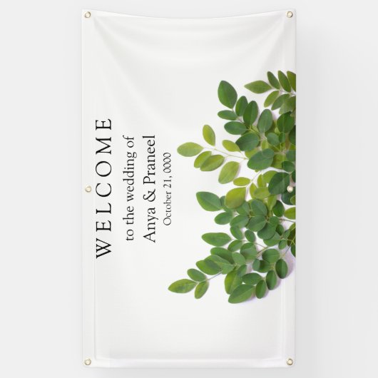 Moringa-bladeren met tekstruimte spandoek (Verticaal)