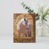 MORISCO IN HET VENSTER BRIEFKAART (Staand voorkant)