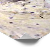 Morisot: Twee zussen op een Couch Poster (Hoek)