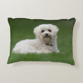 Moritz the Maltese Accent Kussen (Achterkant)