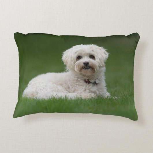 Moritz the Maltese Accent Kussen (Achterkant)