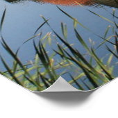 Moritzburg Castle, Duitsland Poster (Hoek)