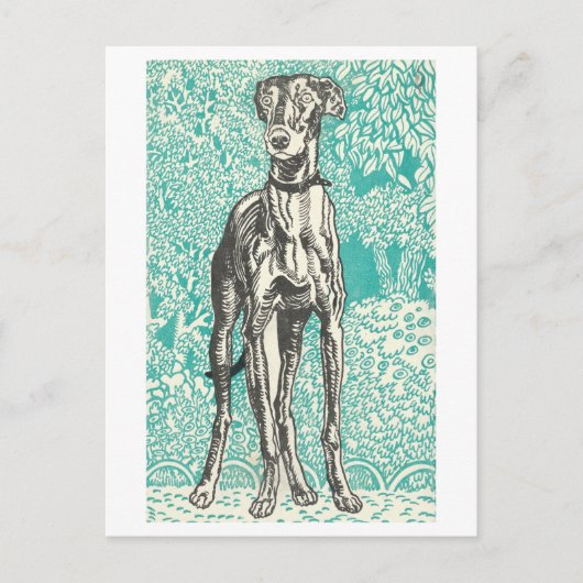Moriz Jung Greyhound Print Briefkaart (Voorkant)