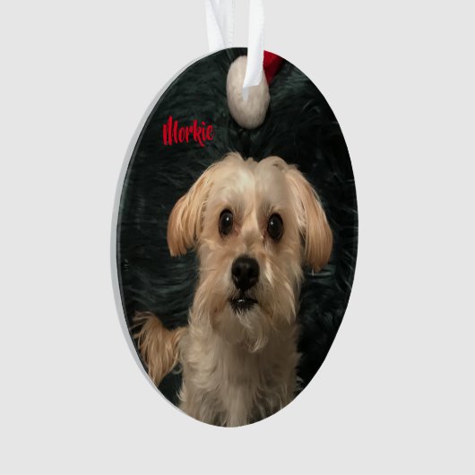 Morkie Acrylic kerstversiering Ornament (voorkant)