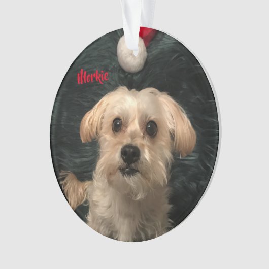 Morkie Acrylic kerstversiering Ornament (voorkant)