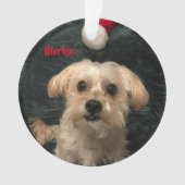 Morkie Acrylic kerstversiering Ornament (voorkant)