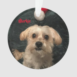 Morkie Acrylic kerstversiering Ornament