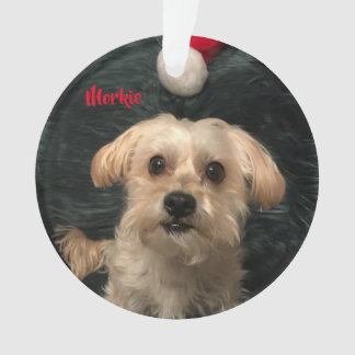 Morkie Acrylic kerstversiering Ornament