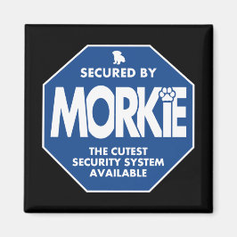 Morkie-Beveiliging-Blauw Magneet