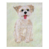 Morkie Dog Glossy Poster (Voorkant)