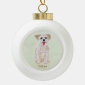 Morkie Dog Keramische Bal Ornament (Voorkant)