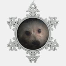 Morkie Dog Puppy Cute Rescue Ornament