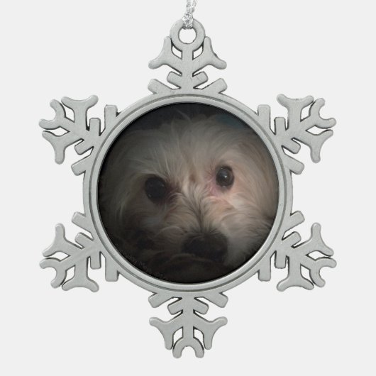 Morkie Dog Puppy Cute Rescue Ornament (Voorkant)