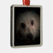 Morkie Dog Puppy Cute Rescue Ornament (Rechts)