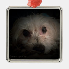 Morkie Dog Puppy Cute Rescue Ornament