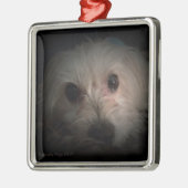 Morkie Dog Puppy Cute Rescue Ornament (Links)