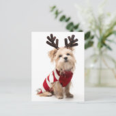 Morkie fokhond met kerstgewei feestdagenkaart (Staand voorkant)