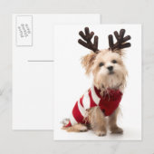 Morkie fokhond met kerstgewei feestdagenkaart (Voorkant / Achterkant)