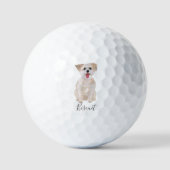 Morkie Hond  Golfballen (Voorkant)
