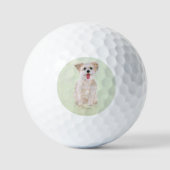 Morkie Hond  Golfballen Met Tekst (Voorkant)