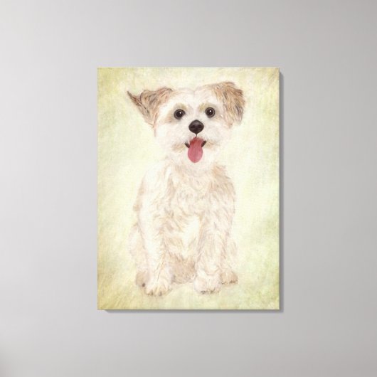 Morkie Hond Premium Ingepakt Canvas Print (Voorkant)