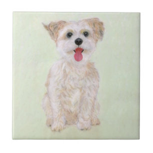 Morkie Hond Tegel Tegeltje
