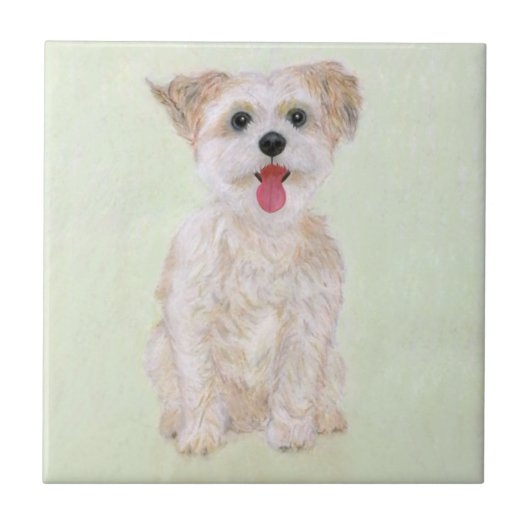 Morkie Hond Tegel Tegeltje (Voorkant)